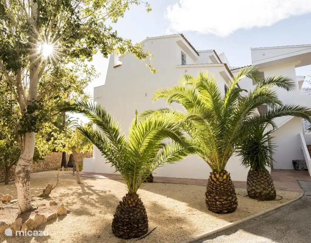 Monte Molar, Altea L'Olla, foto 3