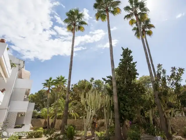 Mont Molar, Altea L'Olla | Espagne, Costa Blanca, Altea - appartement Jardin