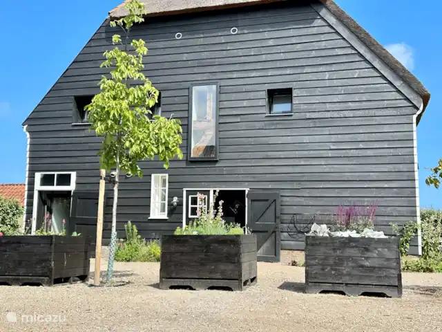 Meilleur emplacement Zélande: Seabarn | Pays-Bas, Zélande, Oostkapelle - maison de vacances Oostkapelle grande maison de vacances pouvant accueillir jusqu’à 18 personnes
