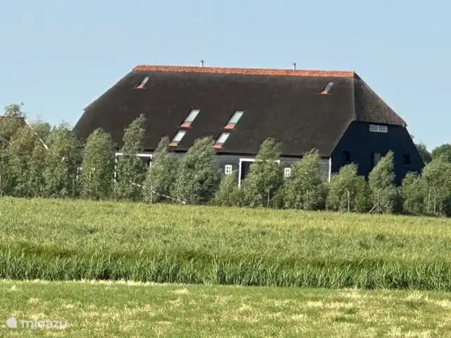 Meilleur emplacement Zélande: Seabarn | Pays-Bas, Zélande, Oostkapelle - maison de vacances Seabarn