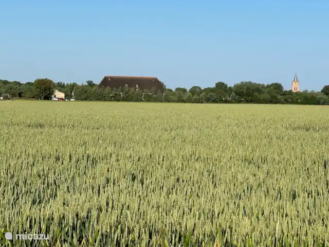 Meilleur emplacement Zélande: Seabarn | Pays-Bas, Zélande, Oostkapelle - maison de vacances Voir Oostkapelle