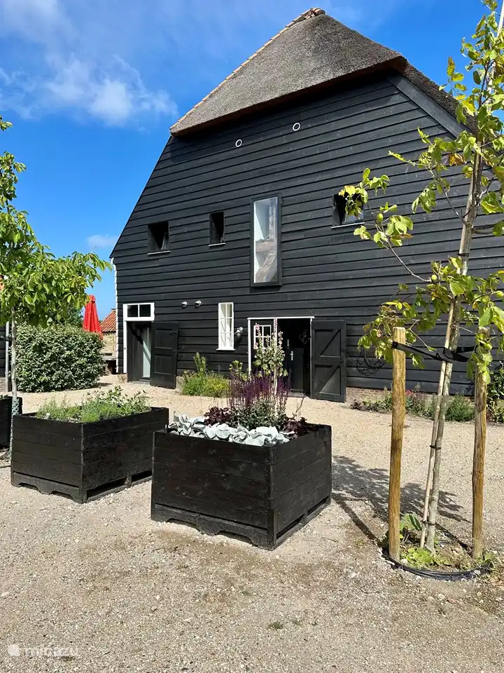 Erstklassiger Standort Zeeland: Seabarn in Niederlande, Zeeland, Oostkapelle - Ferienhaus