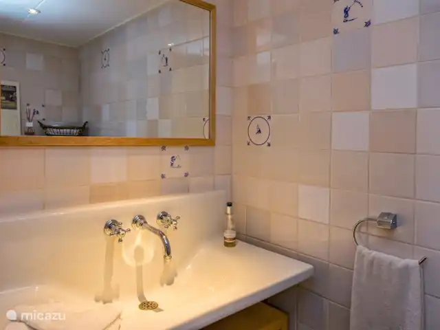 Île privée De Sayter | Pays-Bas, Frise, Eernewoude - ferme Salle de bains