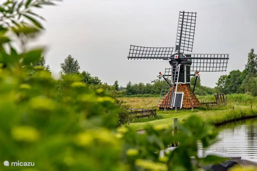 Windmill