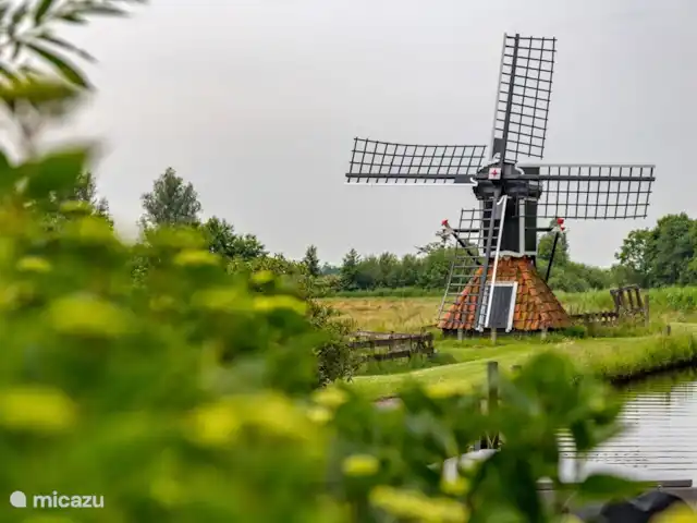 Île privée De Sayter | Pays-Bas, Frise, Eernewoude - ferme moulin