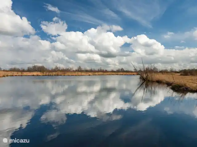 Île privée De Sayter | Pays-Bas, Frise, Eernewoude - ferme EnvironnementU