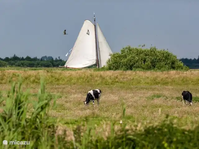 Île privée De Sayter | Pays-Bas, Frise, Eernewoude - ferme Alentours