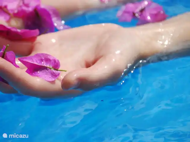 Villa Azul | Espagne, Costa Dorada, L'Ametlla de Mar - villa Villa AZUL Retraites Calafat