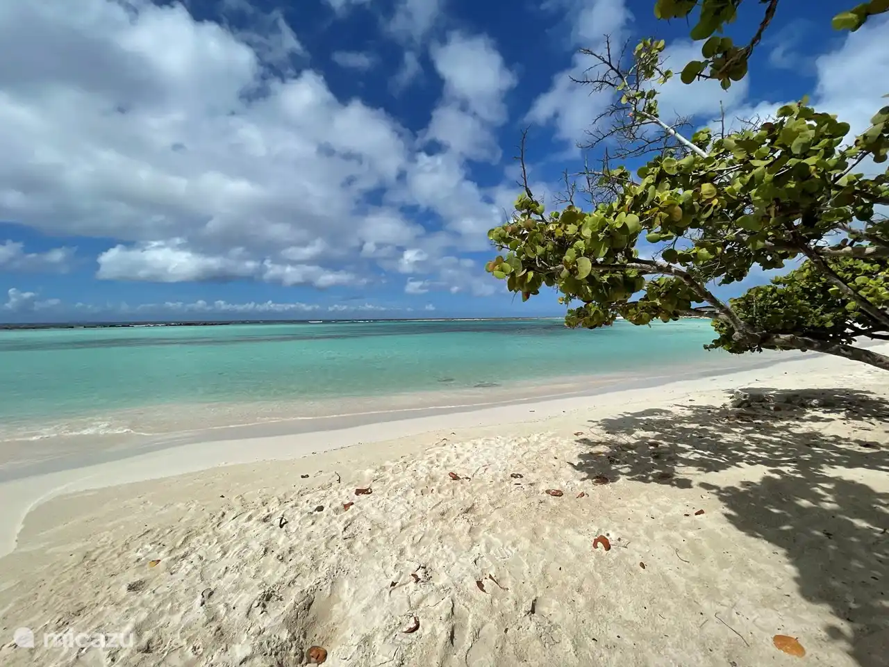 Baby Beach, einen Besuch wert! Schönes Schwimmen