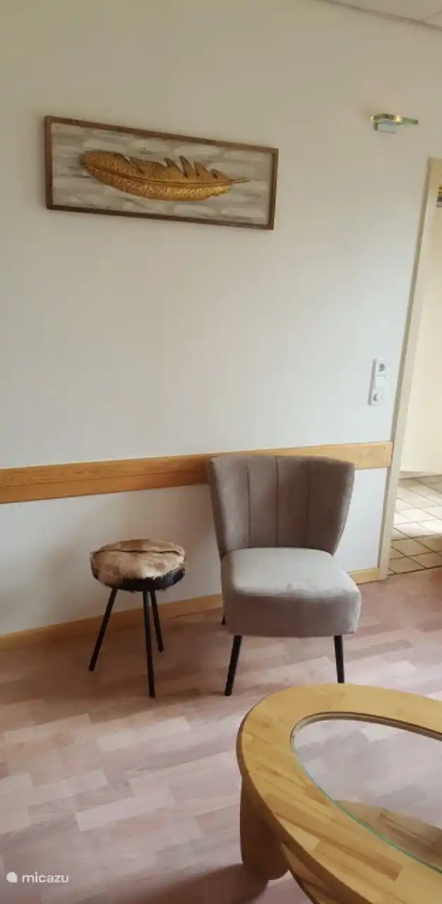 Schöner Stuhl, um ein Buch zu lesen oder vor dem Fernseher zu hängen.