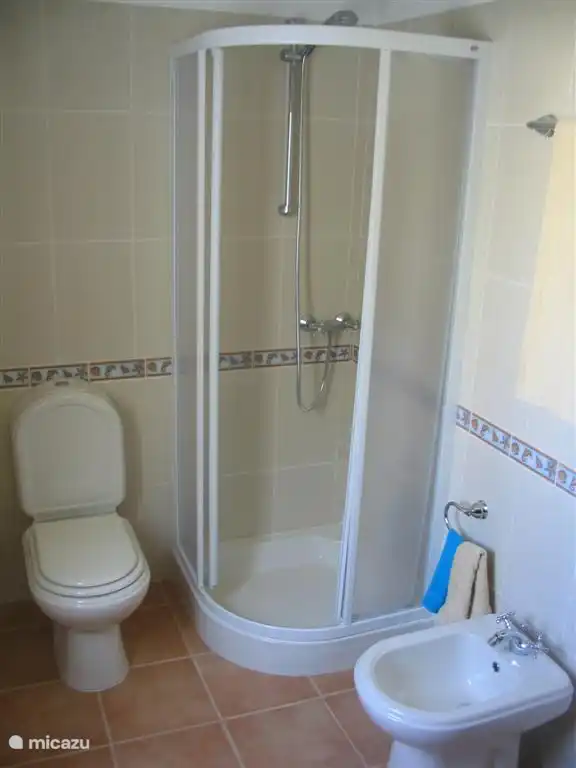 Privé badkamer blauwe slaapkamer met douche, bidet, toilet en wastafel.