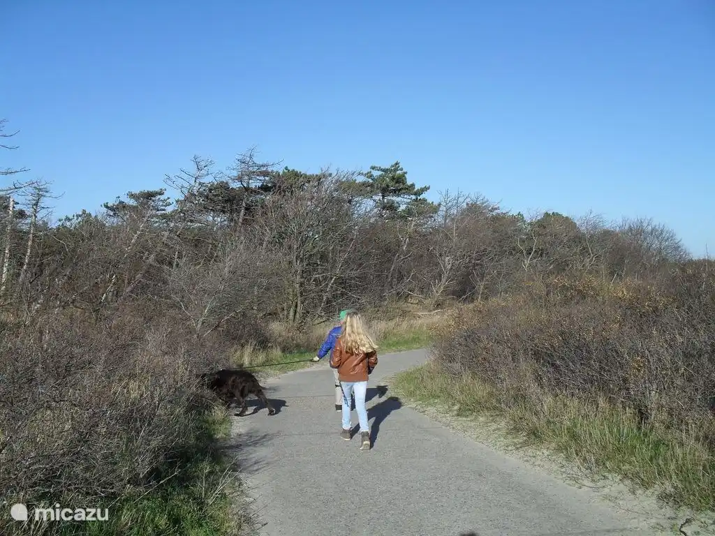 wandeling in de duinen