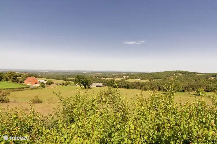 Blick aus dem Garten.