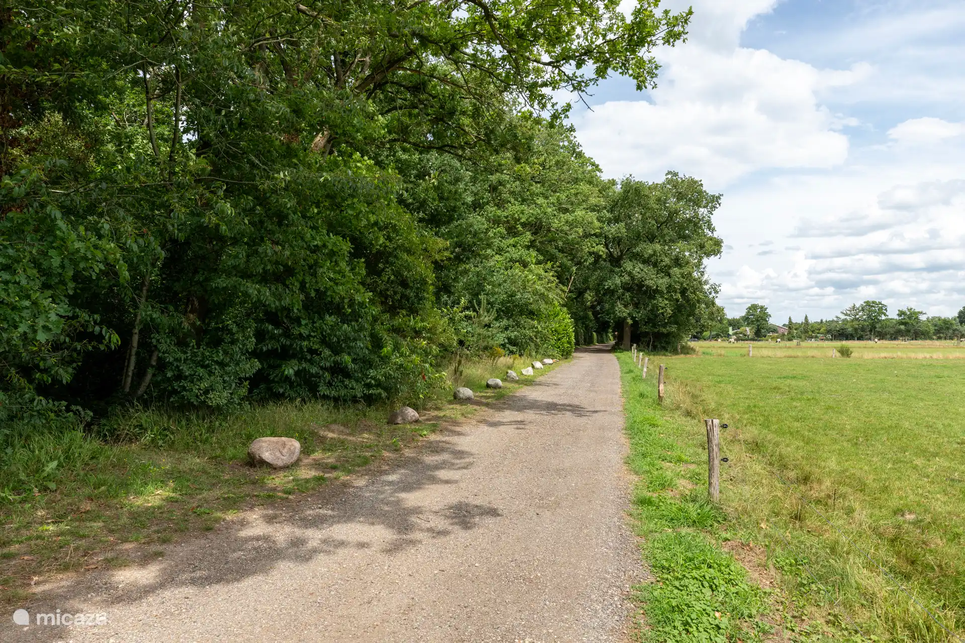 Unser Sandweg neben der Wiese von Drents Landschap