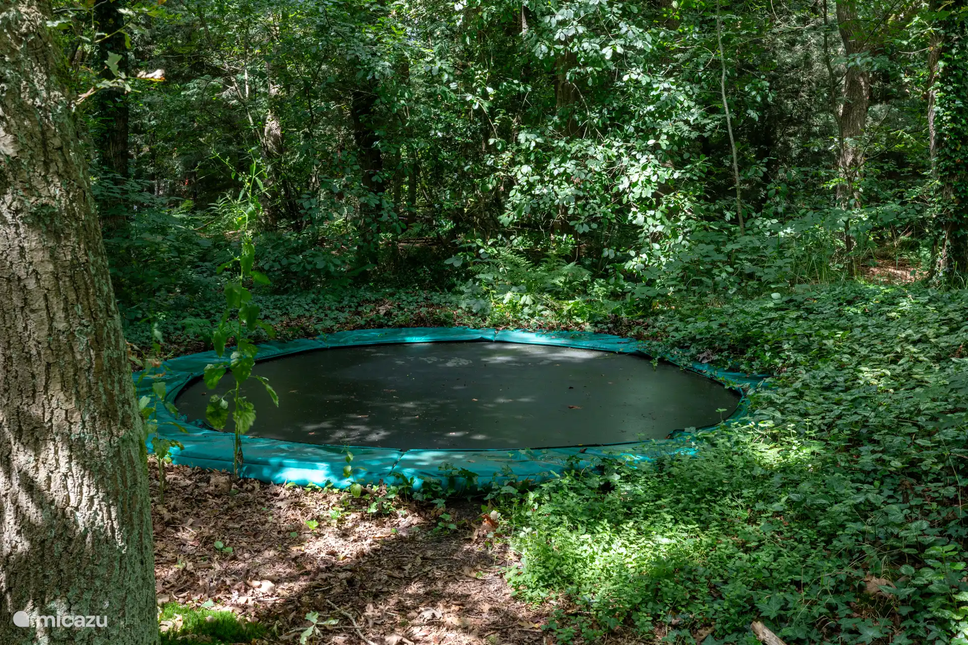 Sehr großes Trampolin, versteckt in unserem Waldgarten