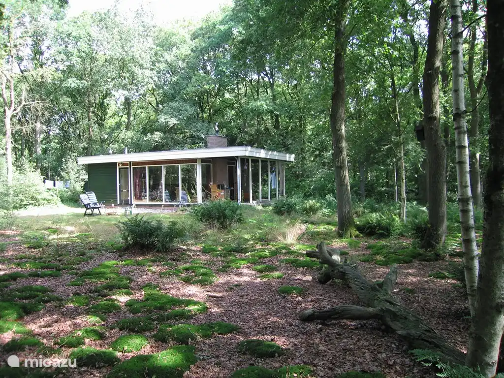 Waldhaus auf 4100 m2 privatem Waldland! in Niederlande, Drenthe, Wateren - bungalow