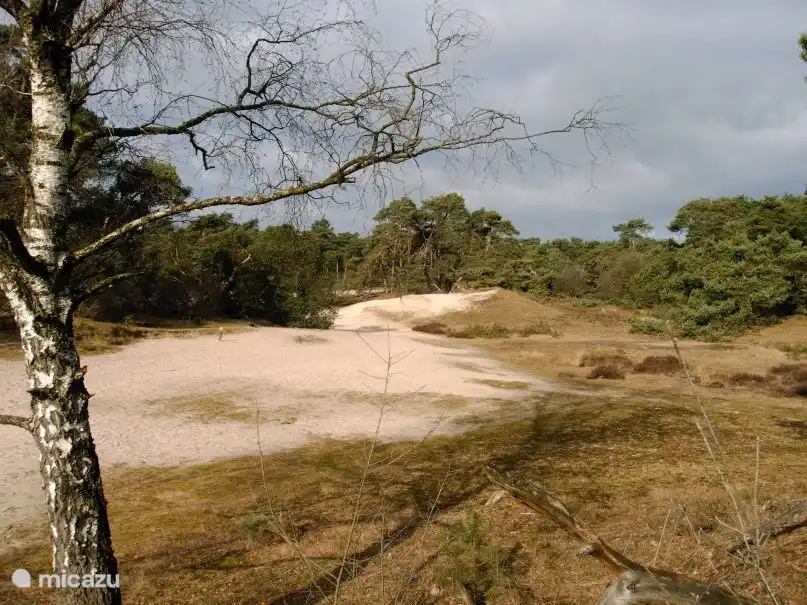 Heide-Bereich gegenüber dem Haus etwa 750 Meter entfernt