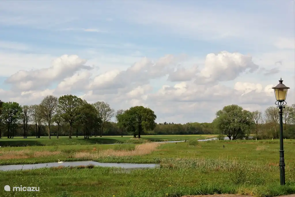 Blick auf die Auen der Vecht in Beerze