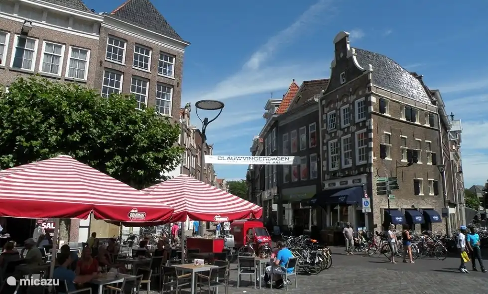 Stadtzentrum von Zwolle eine halbe Stunde entfernt