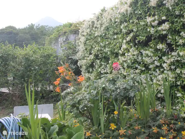 Casa Avventura in Italy, Piedmont, Almese - terraced house Flower beauty in the garden