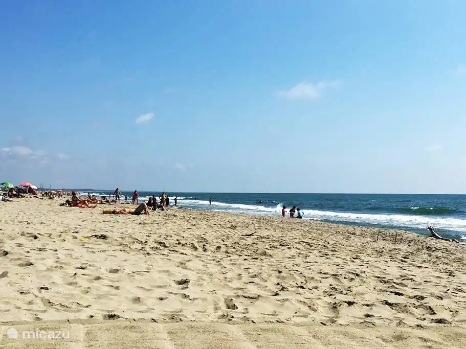 Italy, Tuscany, Viareggio