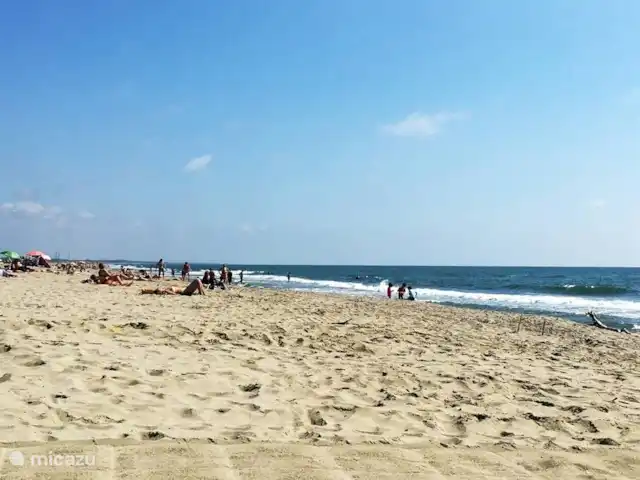 Chalet en bord de mer, Toscane Italie | Italie, Toscane, Viareggio - maison de vacances Camping