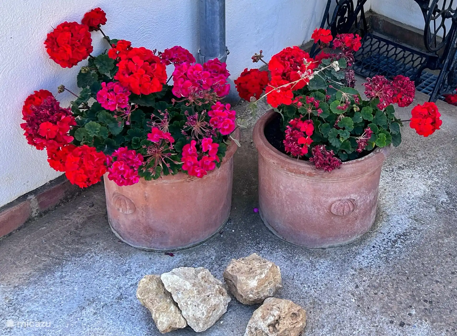 Géraniums en pot sur le patio. À quel point voulez-vous qu’il soit espagnol ?