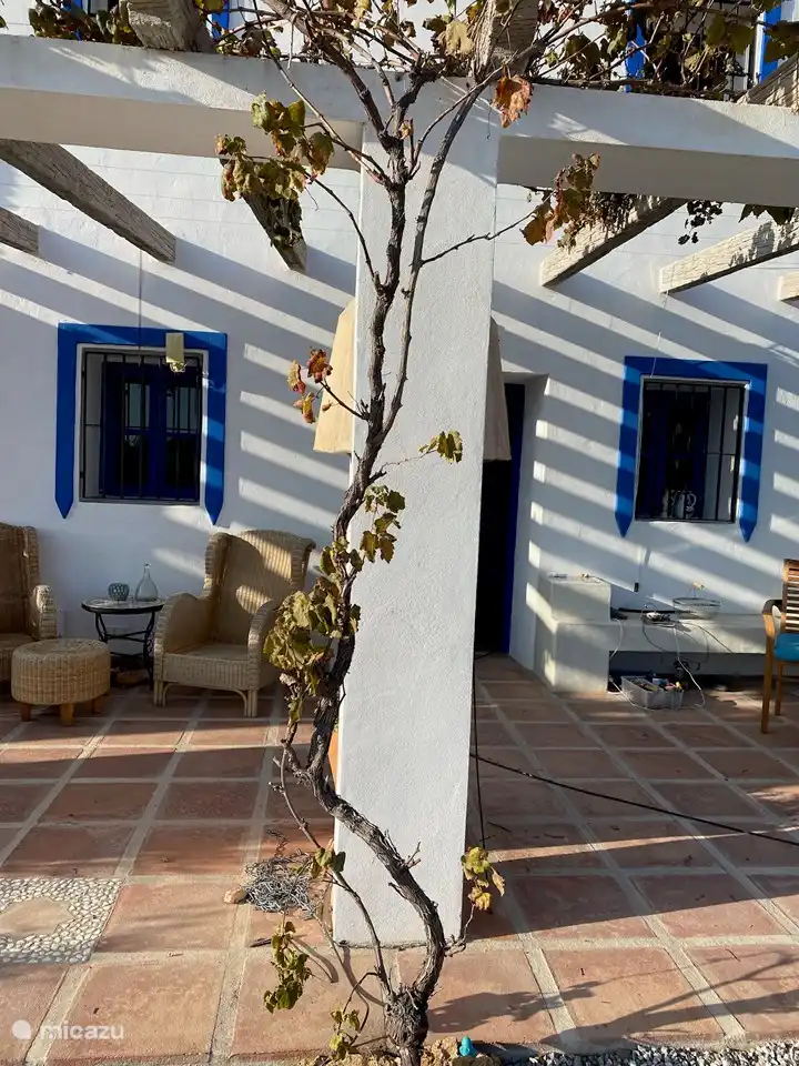 Bandes d'ombre de la grande pergola