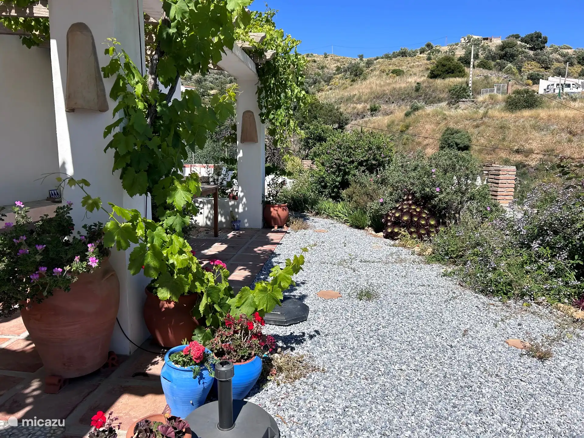 Le jardin avant est en pleine gloire