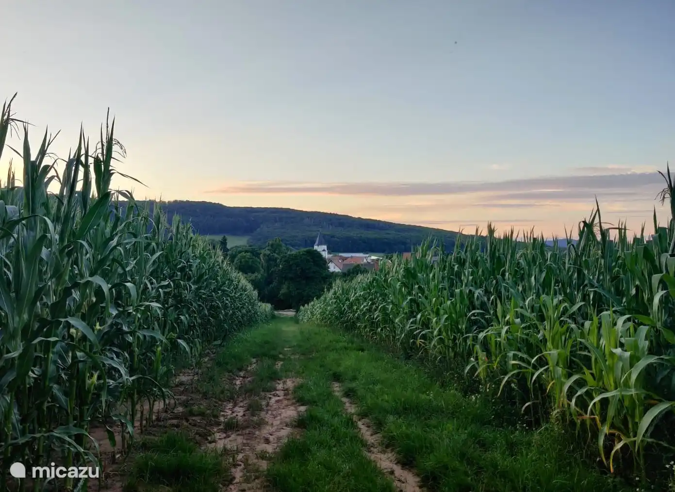 Nach dem Abendessen ist ein kleiner Abendspaziergang sehr schön. Hier mit Blick auf die kleine Kirche gegenüber unserem Haus. Die Turmfalken fliegen hier hin und her und machen als Junge viel Aufhebens.