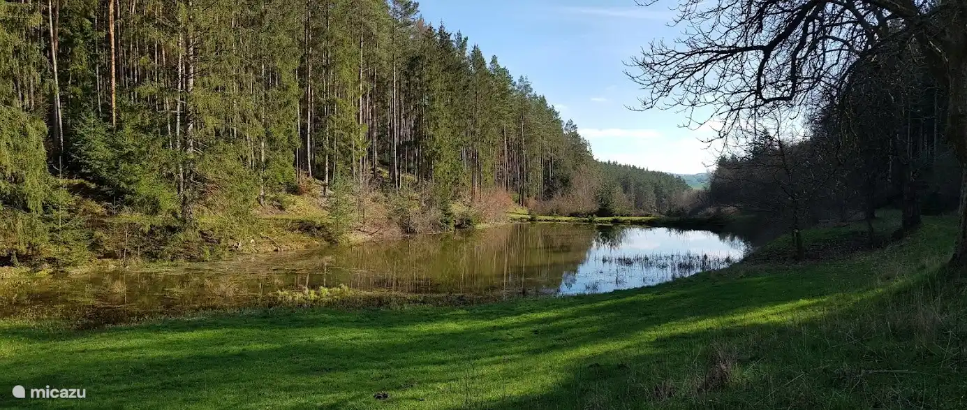 Kurz vor dem angrenzenden Dorf Schwarzbach befindet sich ein wunderschönes Wandergebiet mit vielen Vögeln. Früh am Morgen können Sie auch ein Reh, einen Fuchs oder ein Wildschwein entdecken.