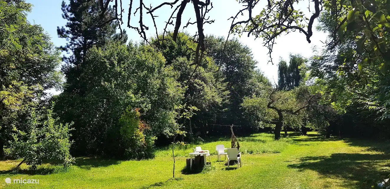 Der Obstgarten mit alten und neuen Obstbäumen. Hier steht eine Feuertonne, um am Abend ein knuspriges Feuer zu genießen. An den Rändern befinden sich oft trockene oder abgebrochene Äste. Laufen Sie immer herum und sammeln Sie Feuerholz für das Lagerfeuer am Abend.