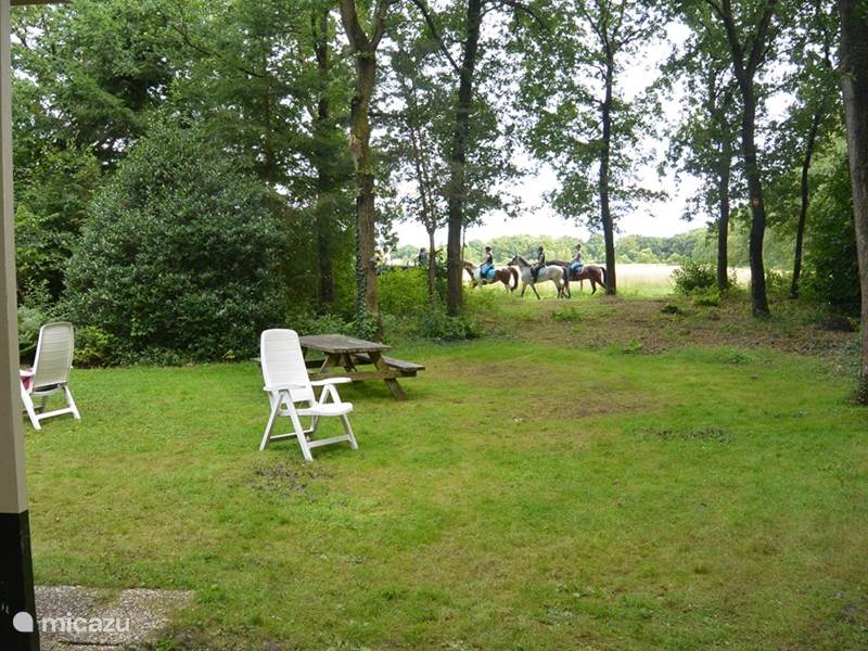 Holiday home in Netherlands, Drenthe, Wateren Bungalow Holiday home de Kei, dogs welcome