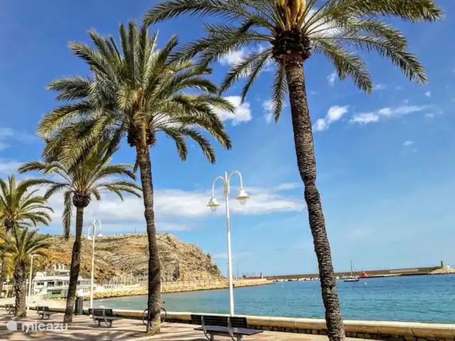 Villa Casa Cinco  | Espagne, Costa Blanca, Jávea - maison de vacances Boulevard Jávea
