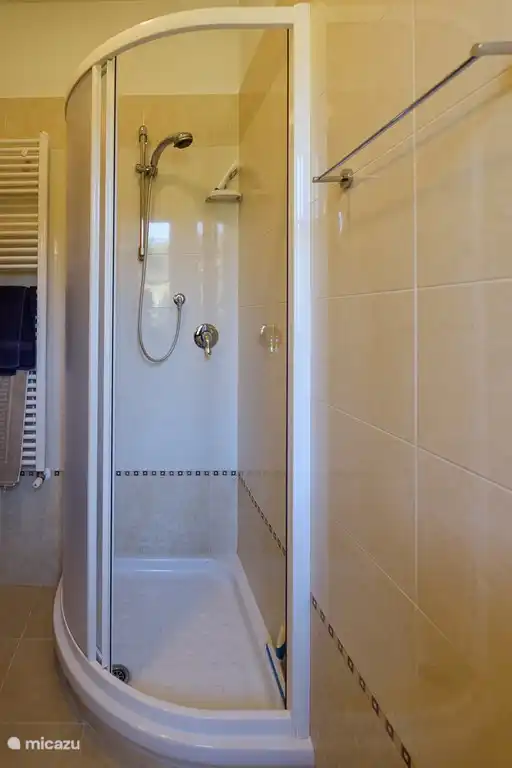 Shower on the ground floor bathroom.