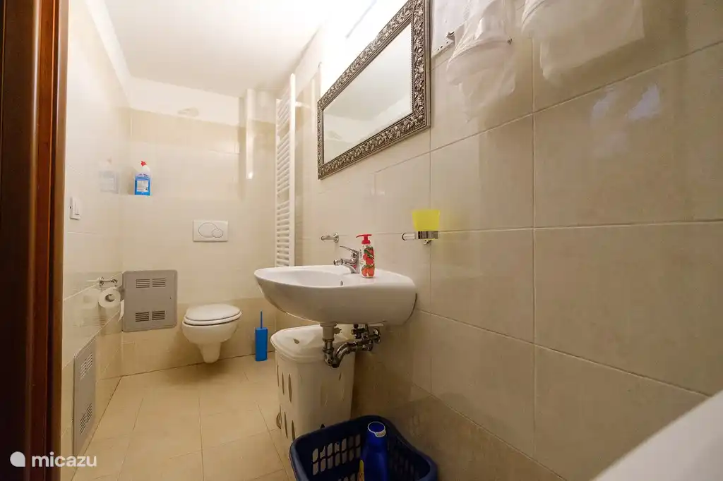 Bathroom downstairs.