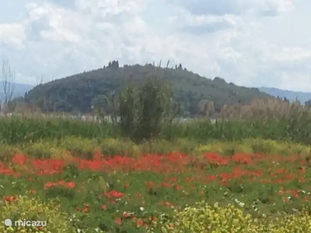 geschakelde woning huren in Italië, Umbrië, Tuoro sul Trasimeno – Casa Trasimeno         Wandeling bij het meer
