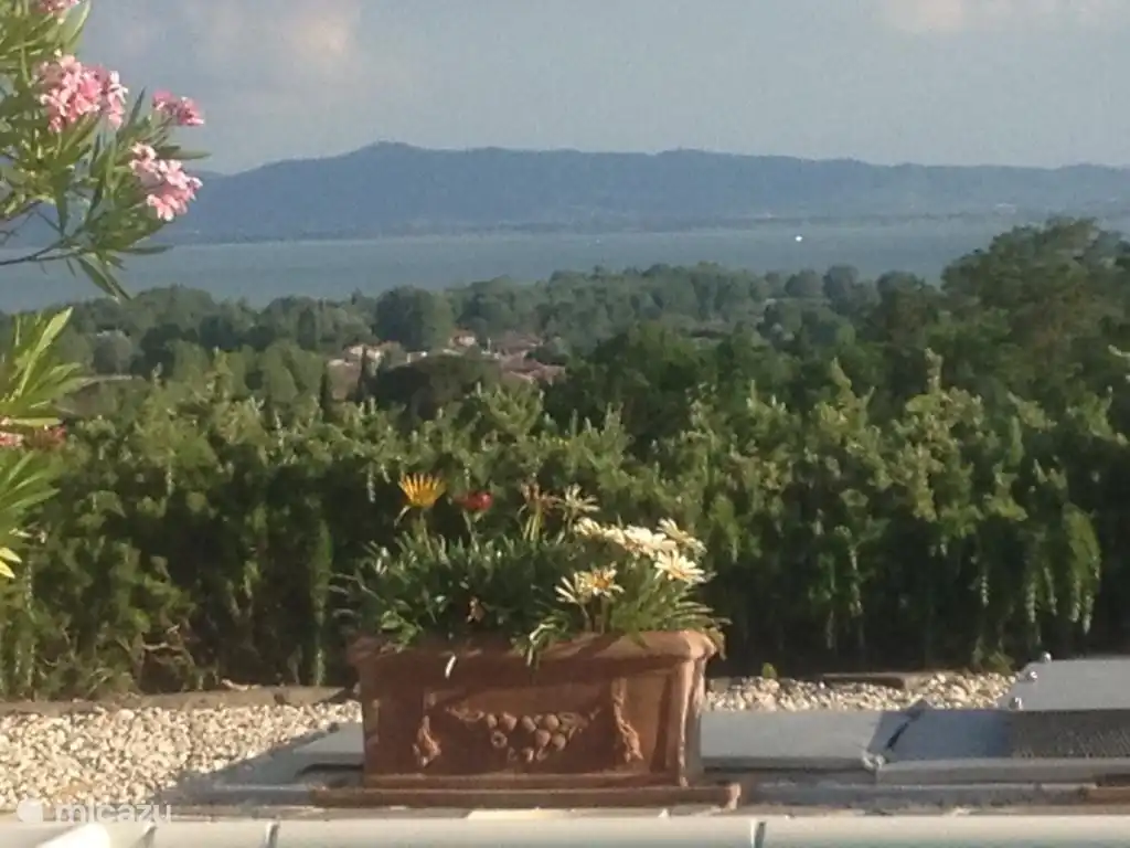 From the house overlooking the lake