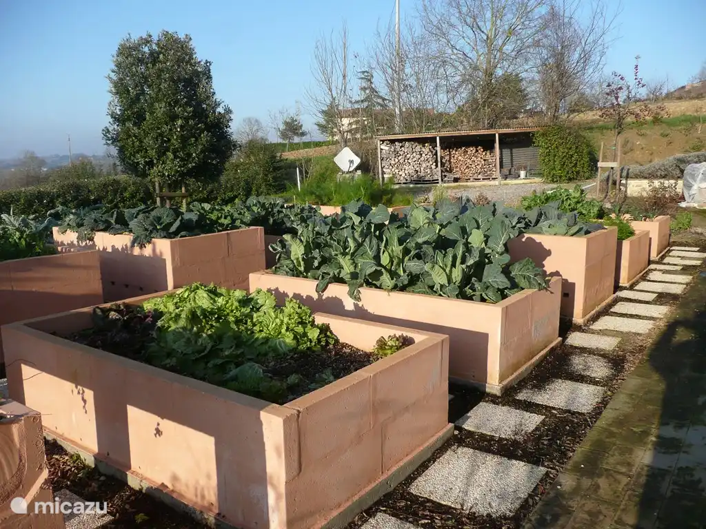 Ein Teil des Gemüsegartens.