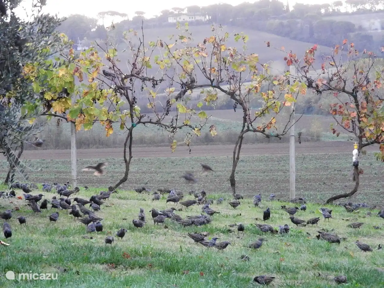 Gli Archi ist ein Paradies für Zugvögel.