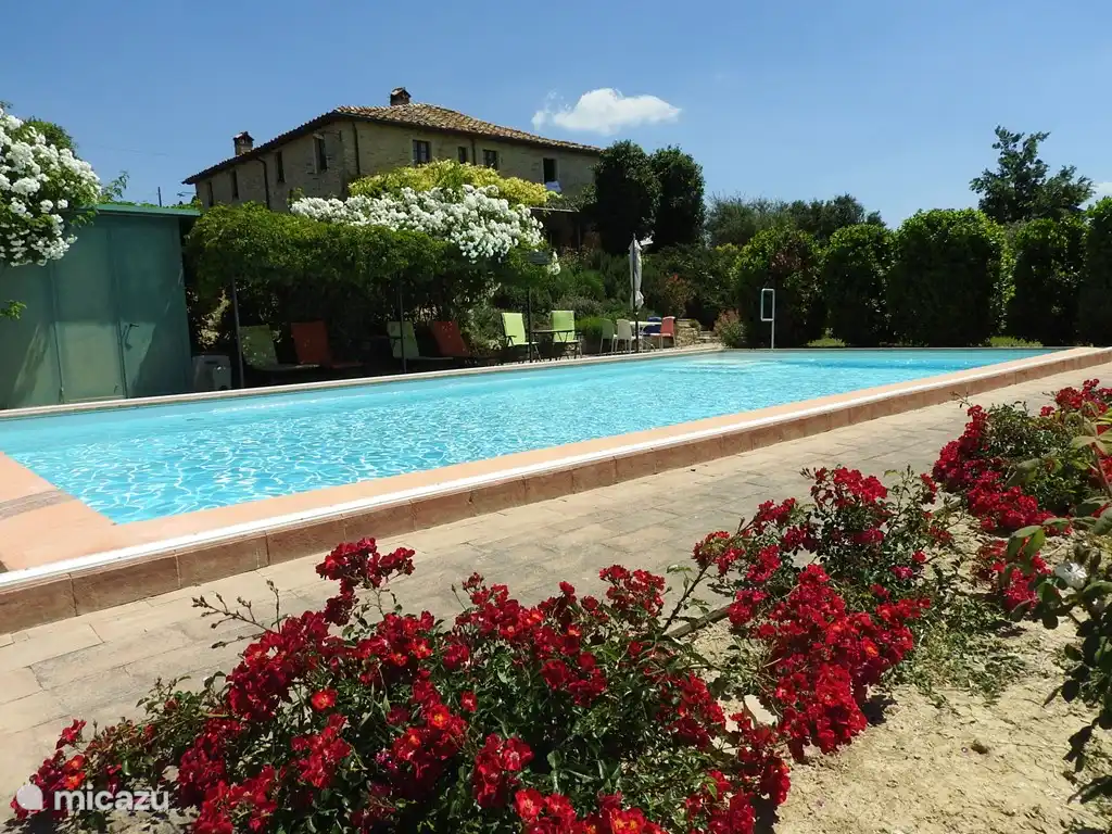 Der Pool hat eine Größe von 6x12 Metern und eine Tiefe von 1,30 bis 1,70 Metern. Es gibt viel Platz zum. Es gibt viel Platz zum sitzen und liegen auch im Schattem. 