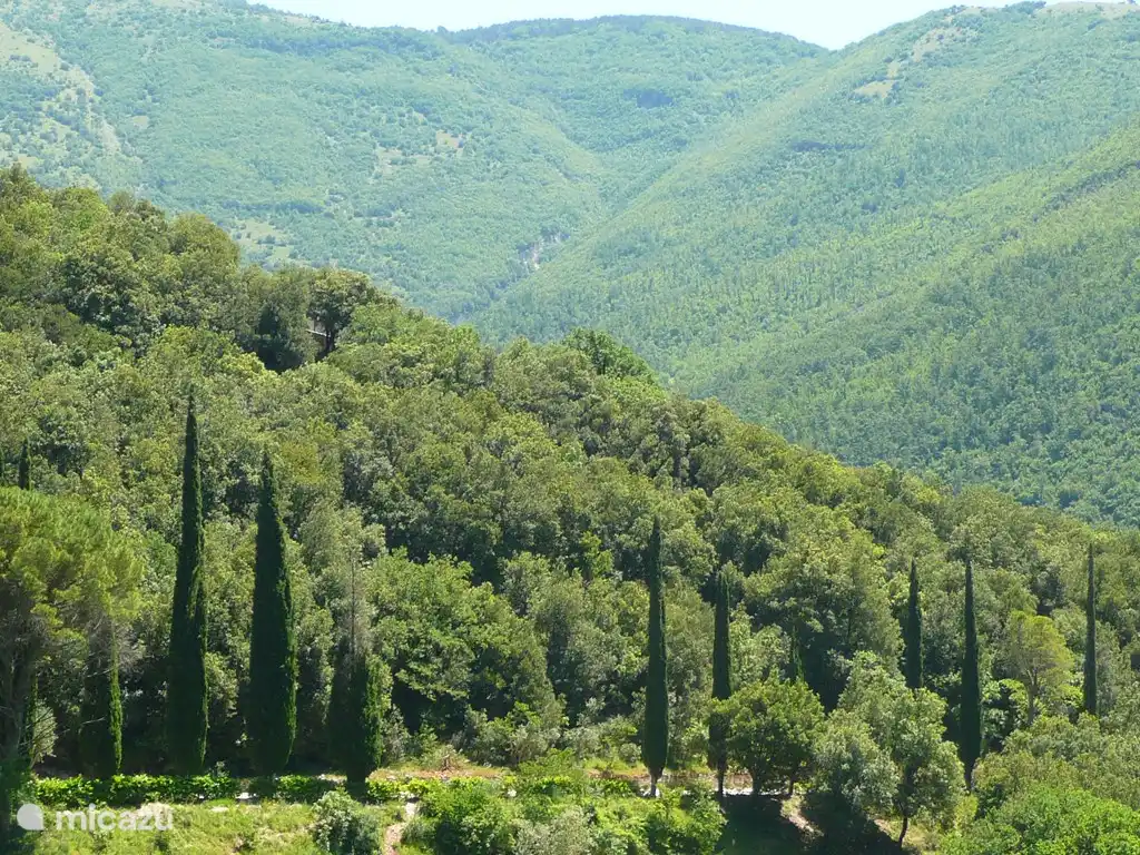 Umbrien, das grüne Herz Italiens.