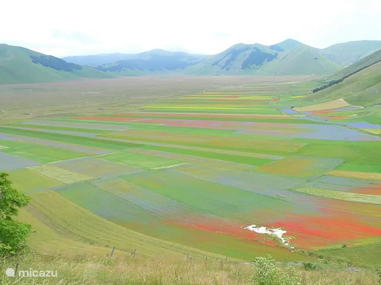 Der schöne Piano Grande im Monti Sibillini in der Nähe der Stadt Norcia. Die Blütezeit ist Anfang Juli.