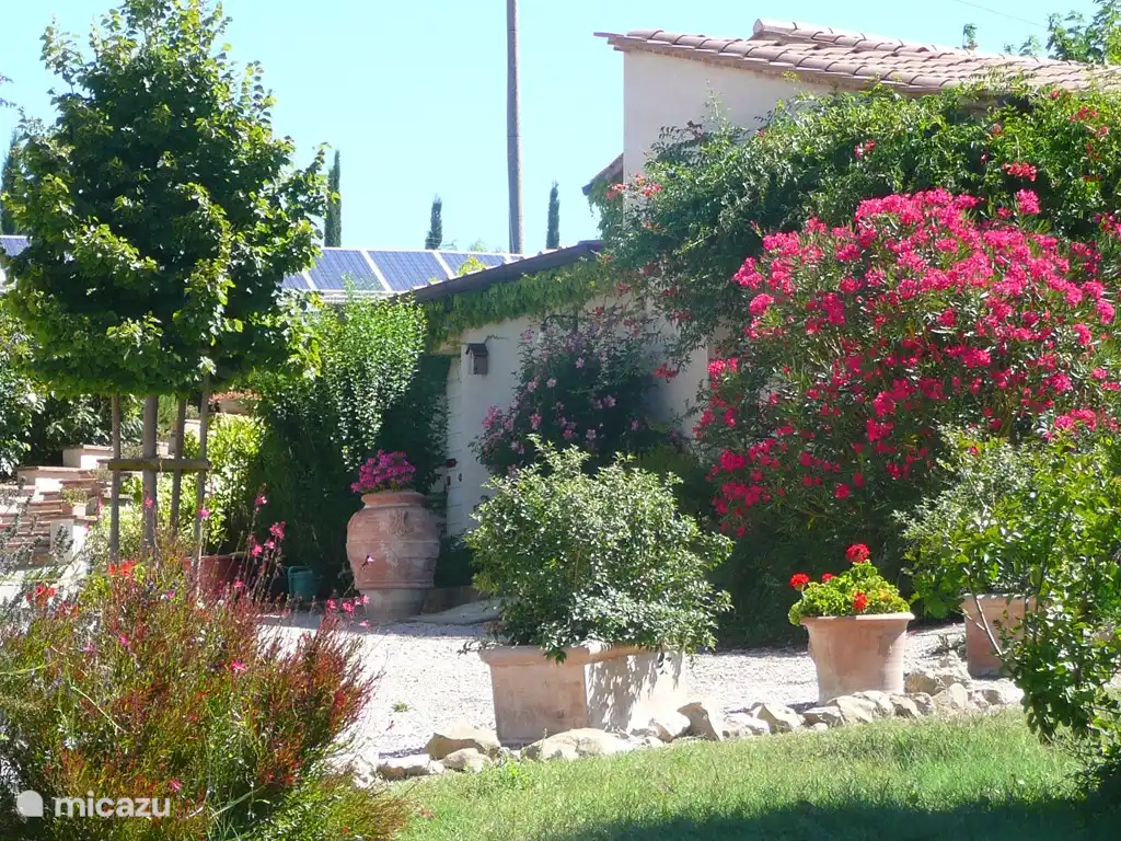 Ein Blick auf den Garten.