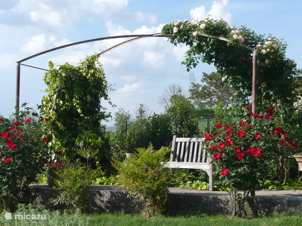 Der Garten ist überall für unsere Gäste zugänglich. Im Garten zerstreut gibt es Sitzbaenke um die Aussicht zu genießen.