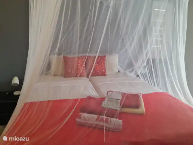 Kavel 15 coral estate rif st.marie huren in Curaçao, Banda Abou (west), Coral Estate, Rif St.Marie - villa Twee tweepersoonsslaapkamers met openslaande deuren op de begane grond. Beide slaapkamers hebben een walk-in-closet. De slaapkamers hebben uitzicht op het zwembad en de tuin.Dat is heerlijk wakker worden, daarna een duik in het zwembad.