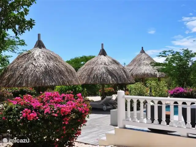 Kavel 15 coral estate rif st.marie huren in Curaçao, Banda Abou (west), Coral Estate, Rif St.Marie - villa Tuin bij Villa Caribbean View met terrassen en palapa's.