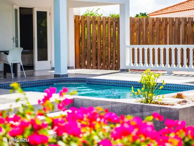 Kavel 15 coral estate rif st.marie huren in Curaçao, Banda Abou (west), Coral Estate, Rif St.Marie - villa Fijn modern meubilair op de terrassen. In alle soorten en maten. Nu eens wil je gewoon heerlijk zittend een drankje drinken of een hapje eten. Een andere keer wil je liggen in de zon of schaduw om een boek te lezen.