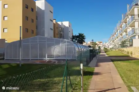 Ferienwohnung Spanien, Costa Blanca, Orihuela Costa appartement Casa Diamantes 'prive' zwembad