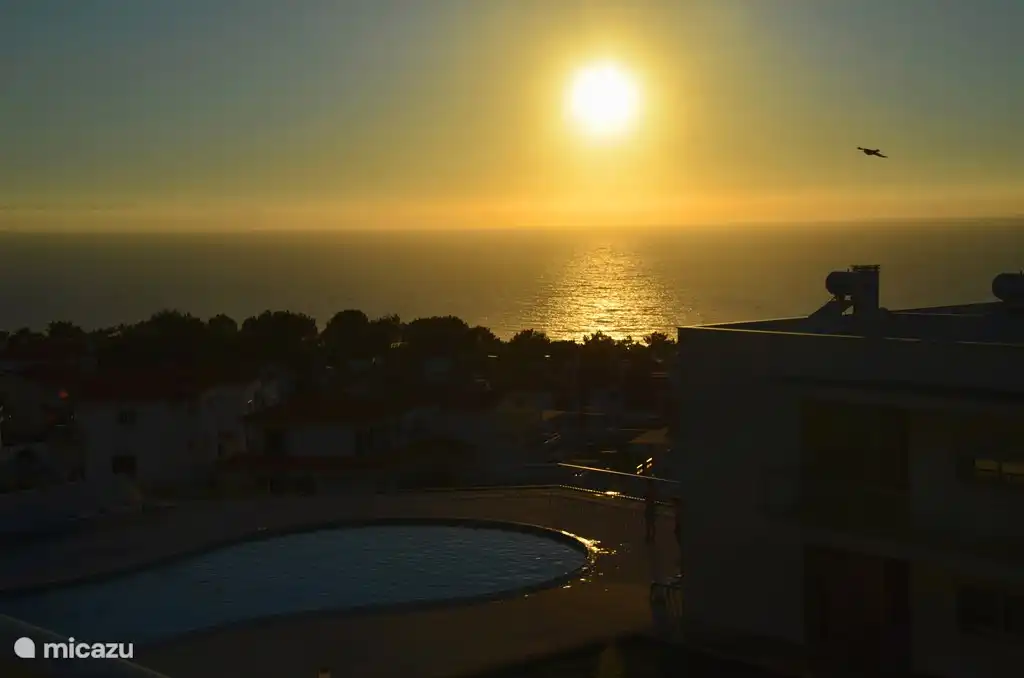 View from the balcony.